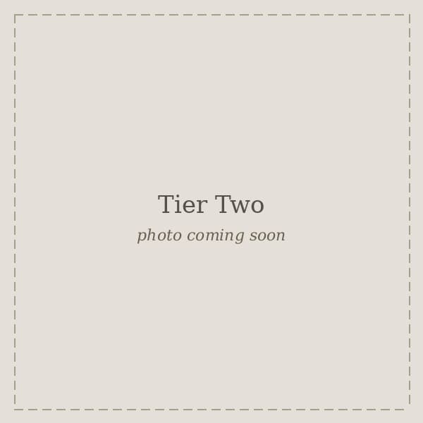 Tier Two nail set example