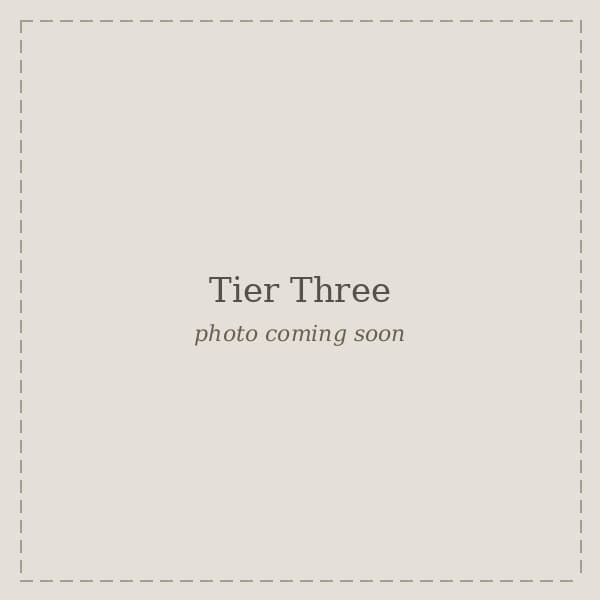 Tier Three nail set example